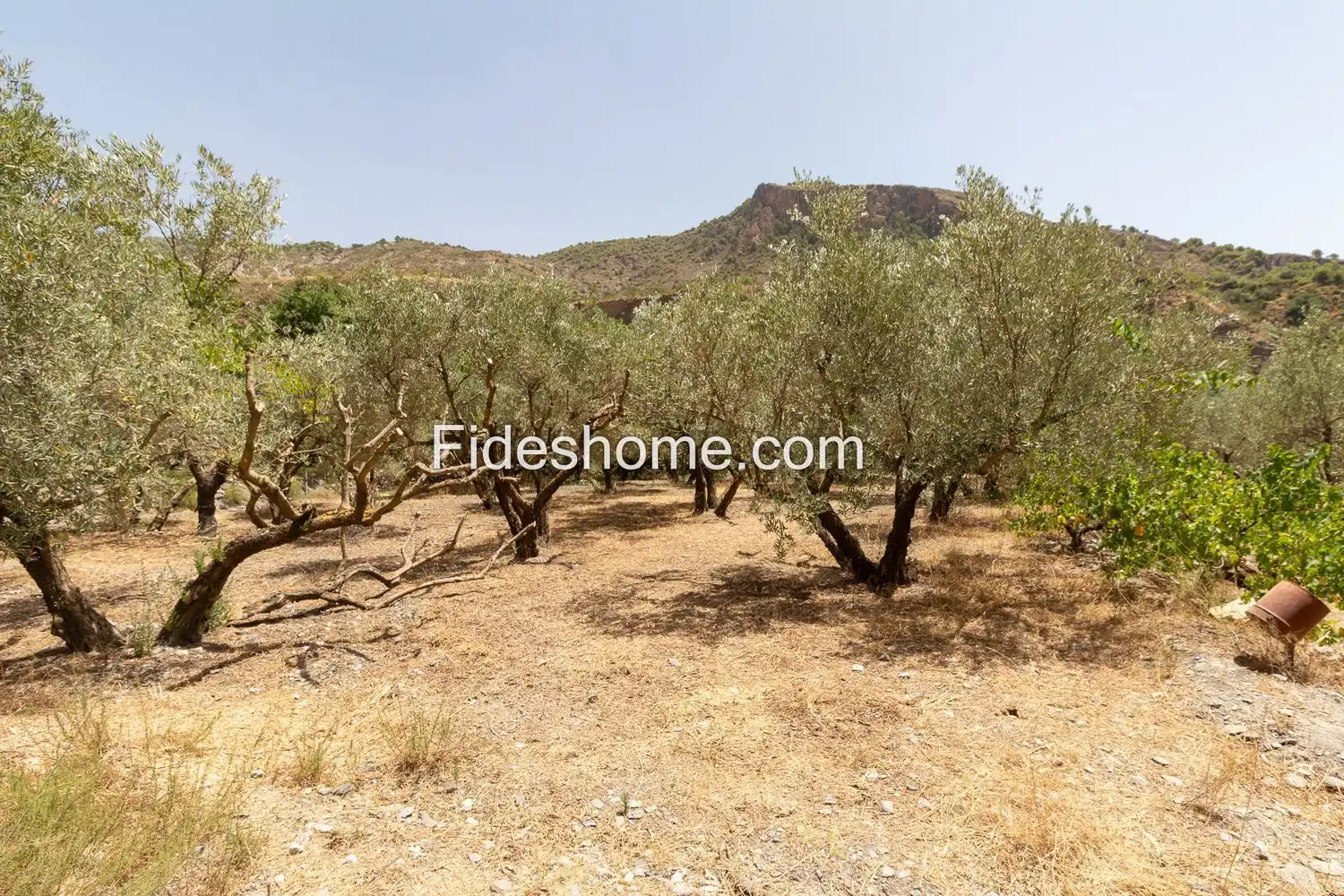 Terrain rustique à vendre à XFG6+CRG Nigüelas 0