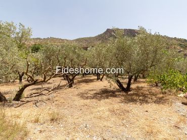 Terreno rustico in vendita a XFG6+CRG Nigüelas