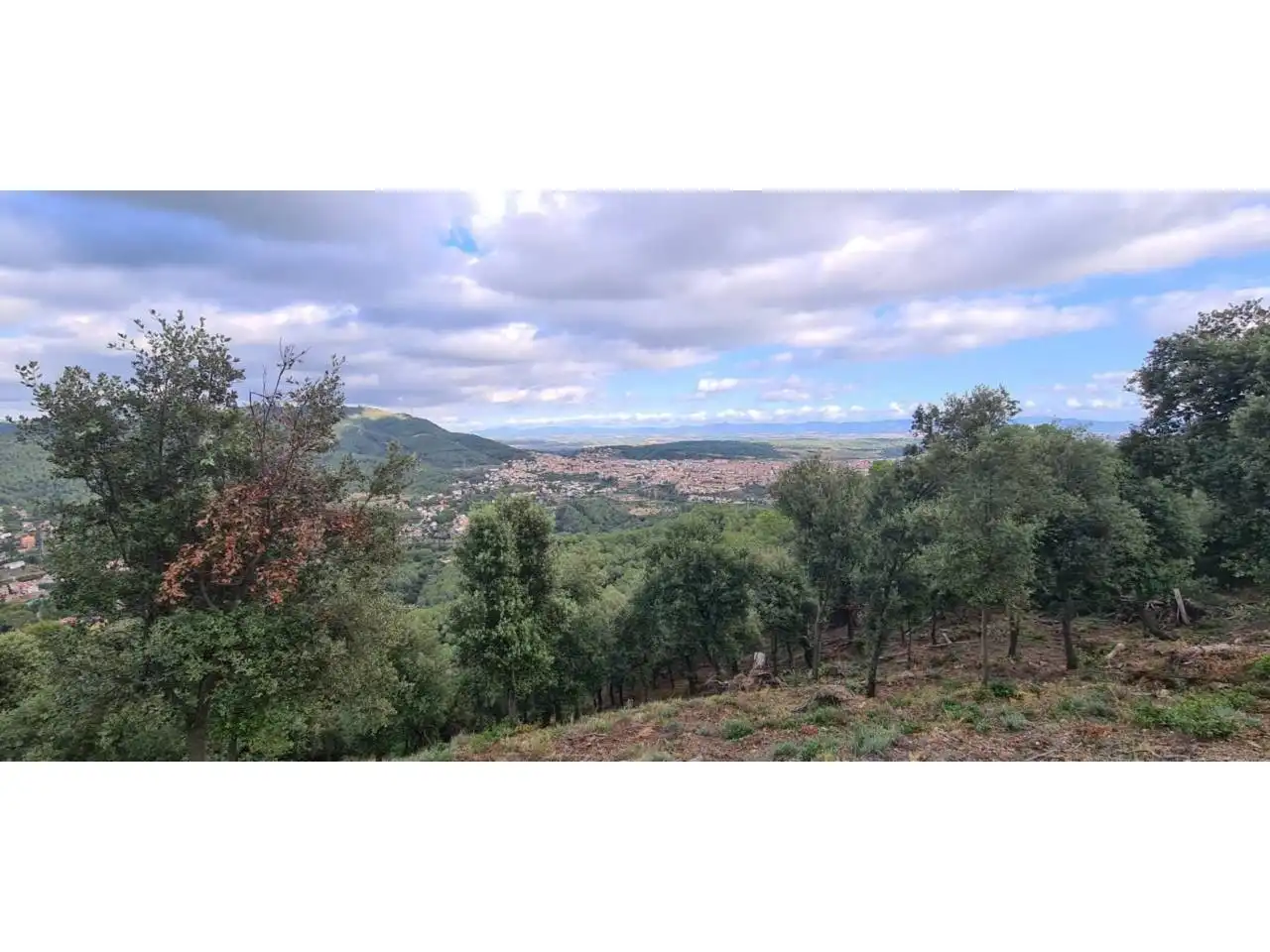 Terreny rústic en venda a Calle Serra de Sant Feliu, imagen 6