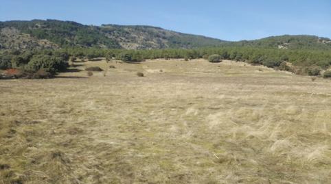 Foto 4 de Terreno en venta en Colegios, Moralzarzal