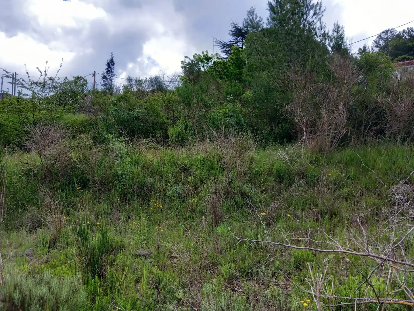 Residential land for sale in Pontons, imagen 22