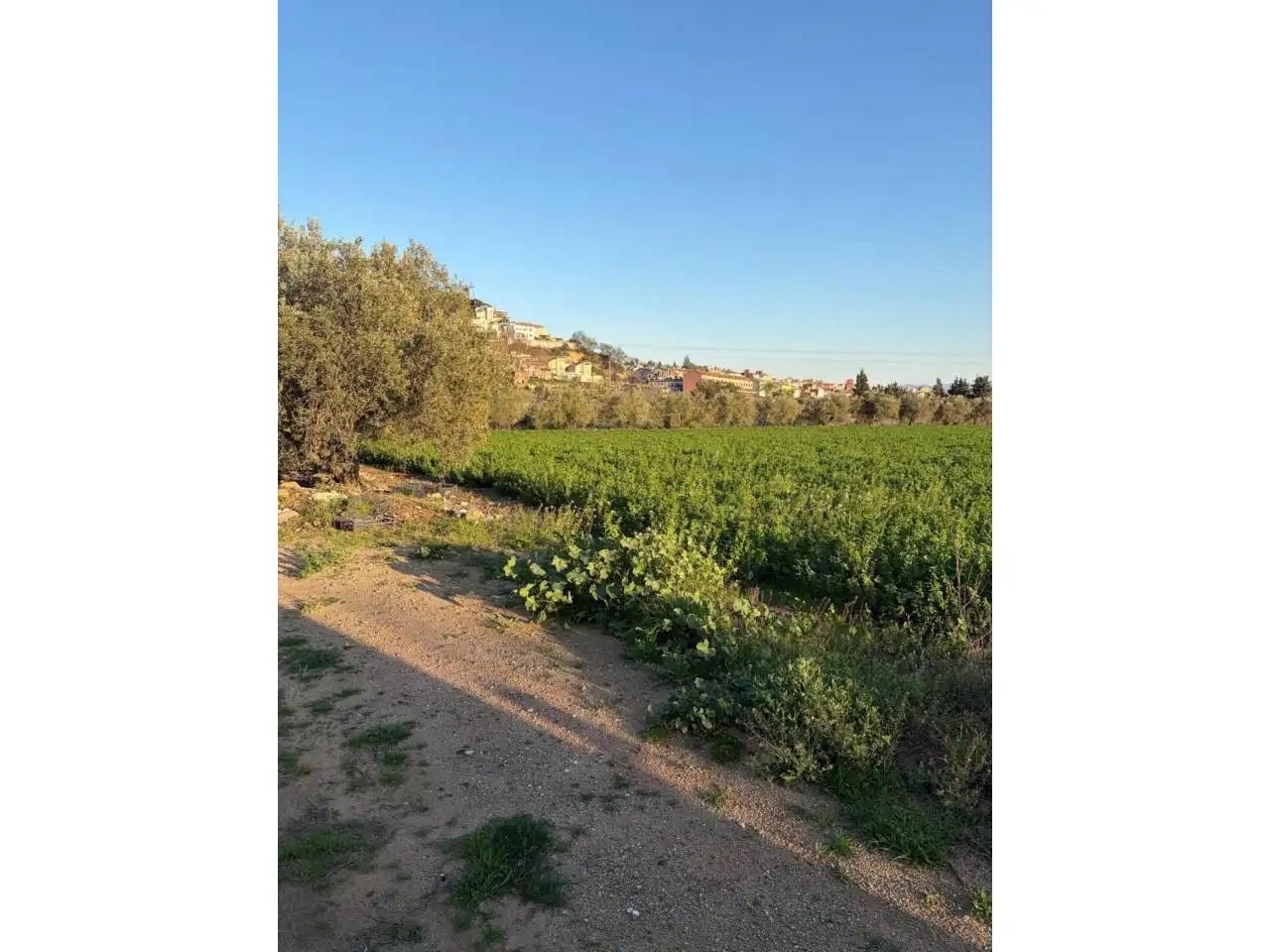 Land for sale in Caldes de Montbui