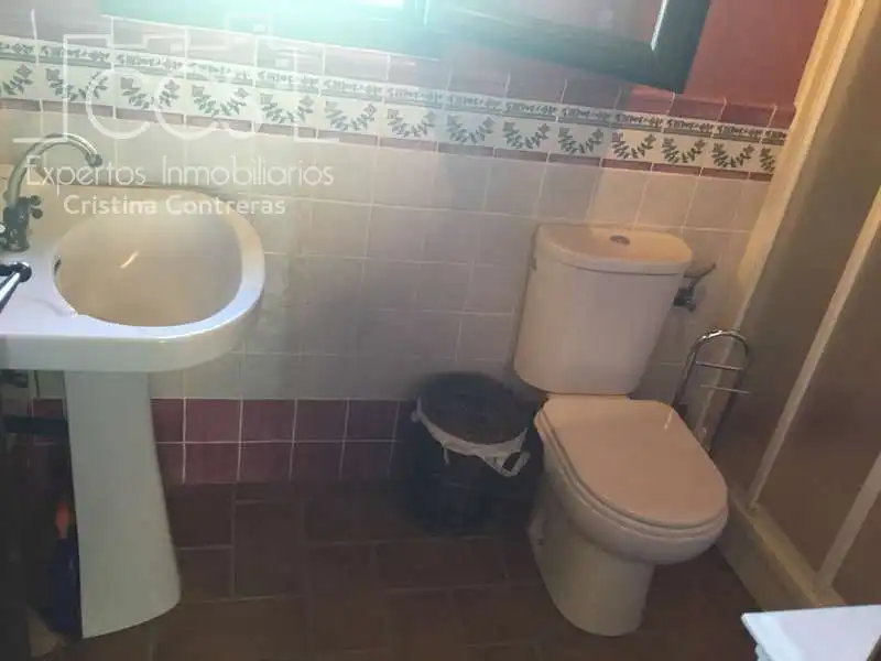 Casa rustica con piscina in vendita a Pilas, imagen 59