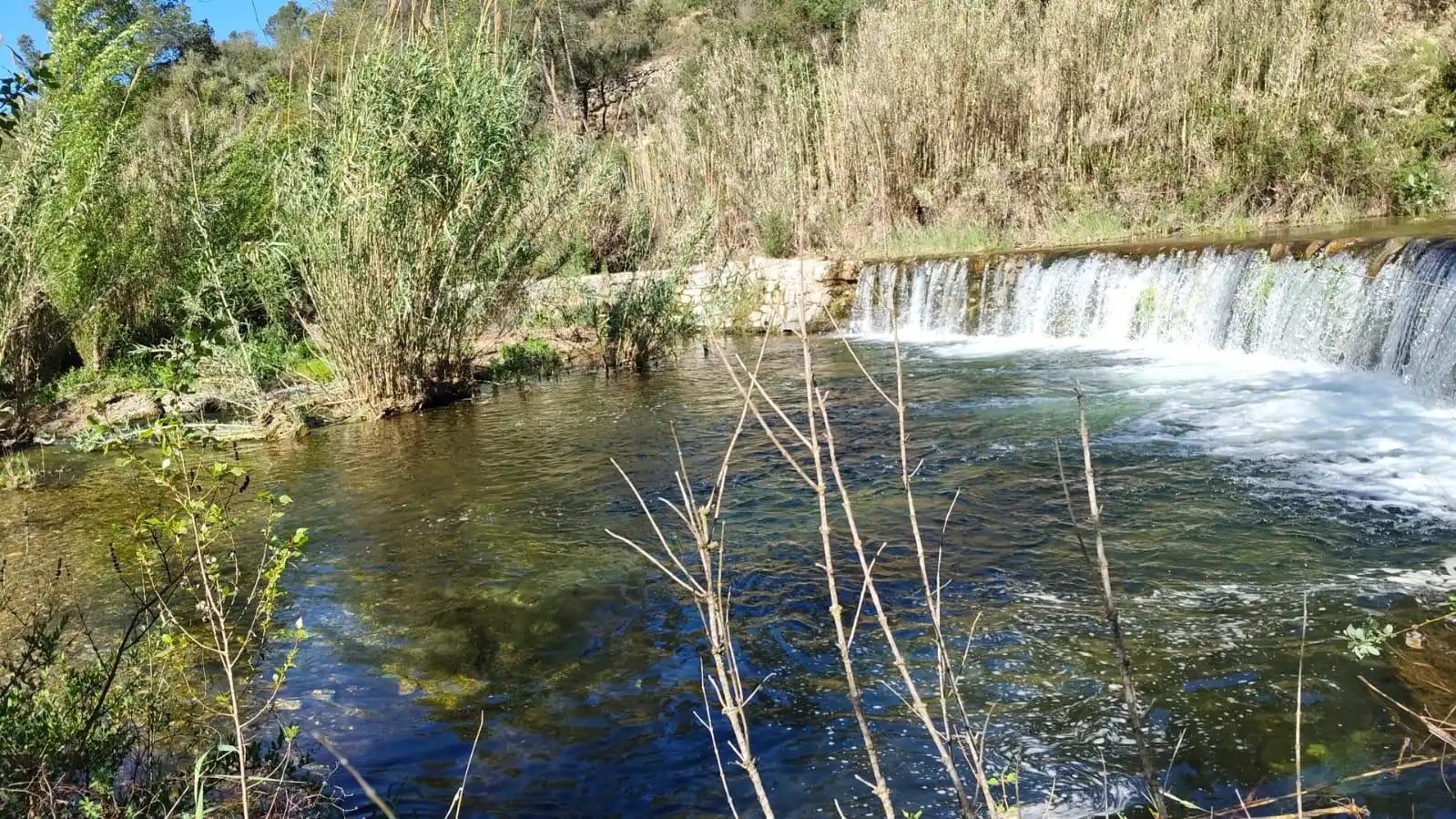 Exterior view of Land for sale in El Masroig