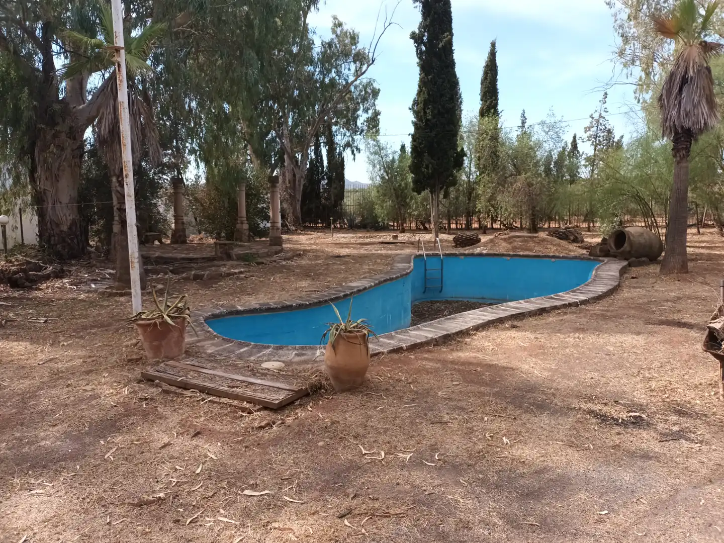 Swimming pool of Land for sale in Arquillos