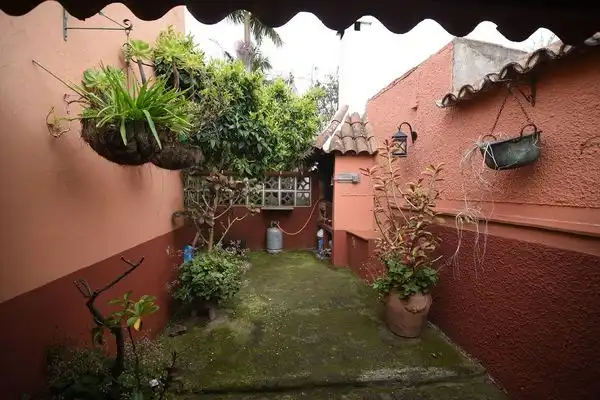 Finca rústica en venda a Calle la Caridad, Tacoronte - Los Naranjeros