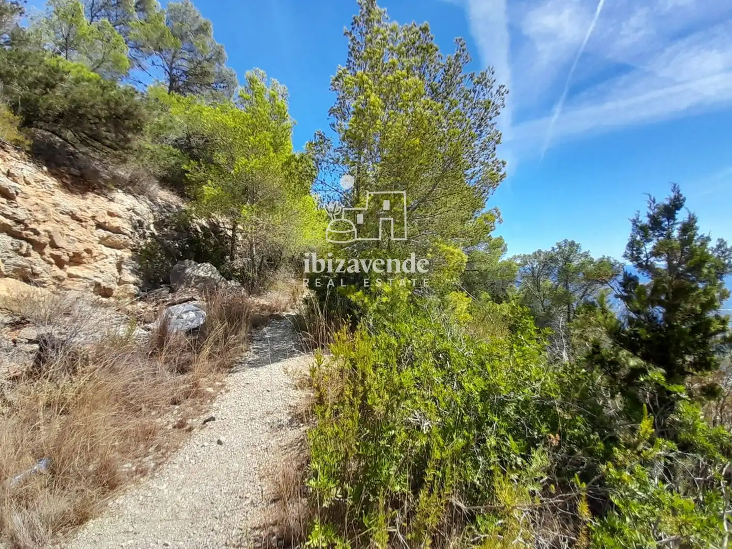 Casa con piscina en venta en del monte Kilimanjaro, imagen 18