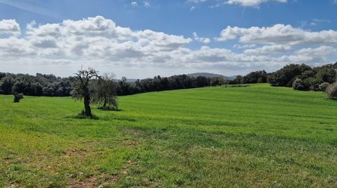 Photo 5 of Country homes for sale in Manacor Centre, Manacor