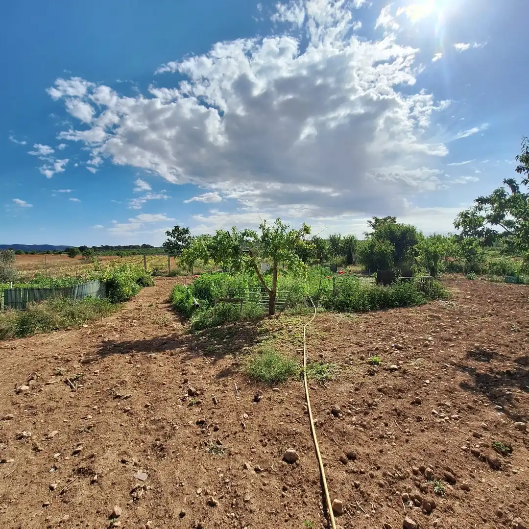 Terreno residencial en venta en El Pinós / Pinoso, imagen 15