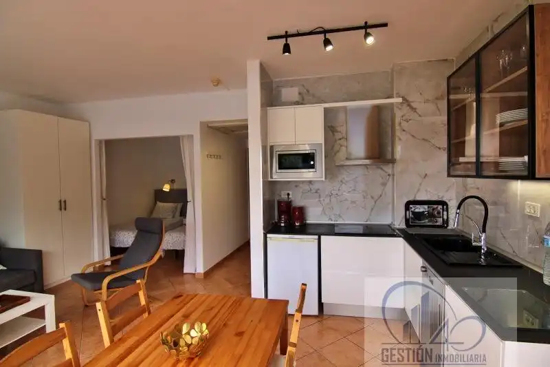 Kitchen of Apartments for rent in Puerto de la Cruz  with Parquet flooring, Terrace and Furnished