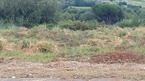 Foto 2 de Residencial en venta en Oruña, Piélagos