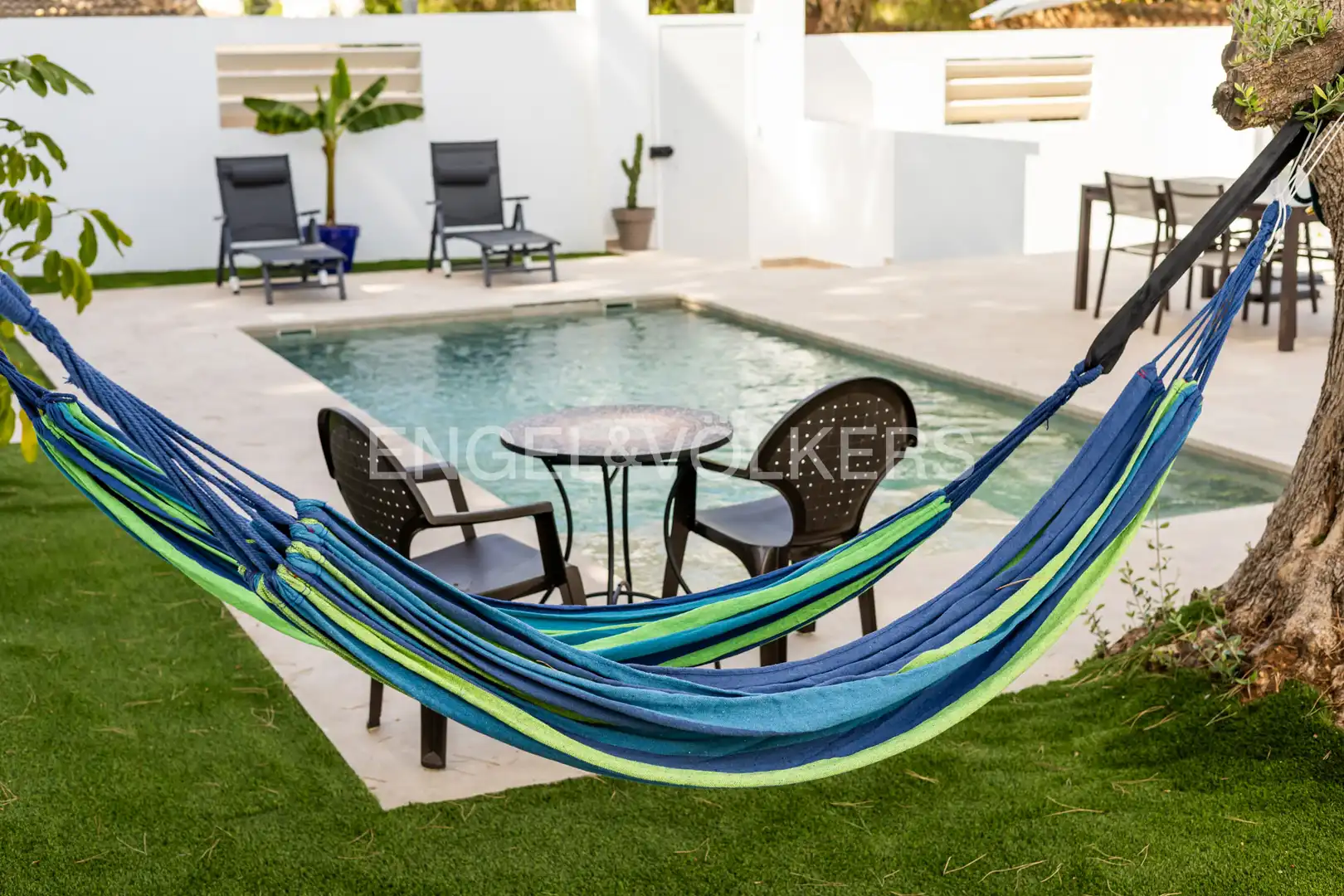 Houses for rent in Los Gallos