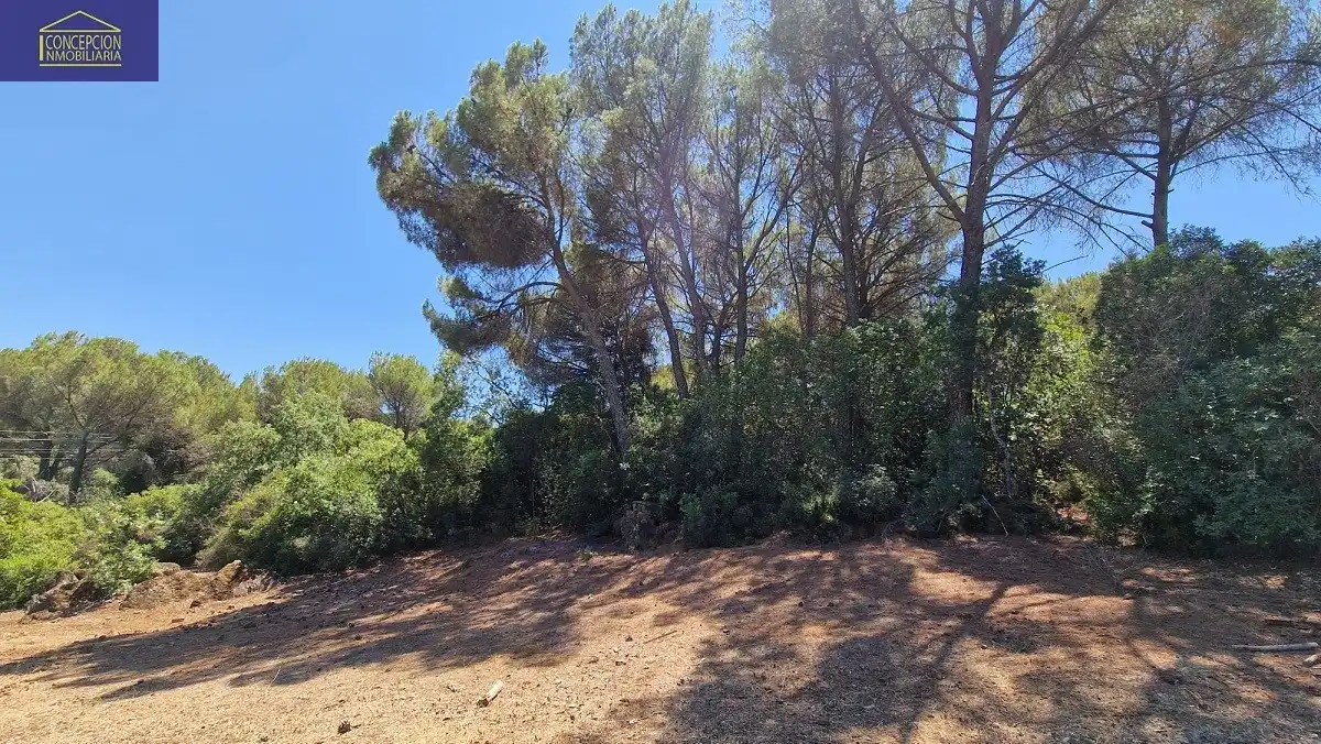 Villa avec piscine à vendre à Periurbano Oeste - Sierra, imagen 6