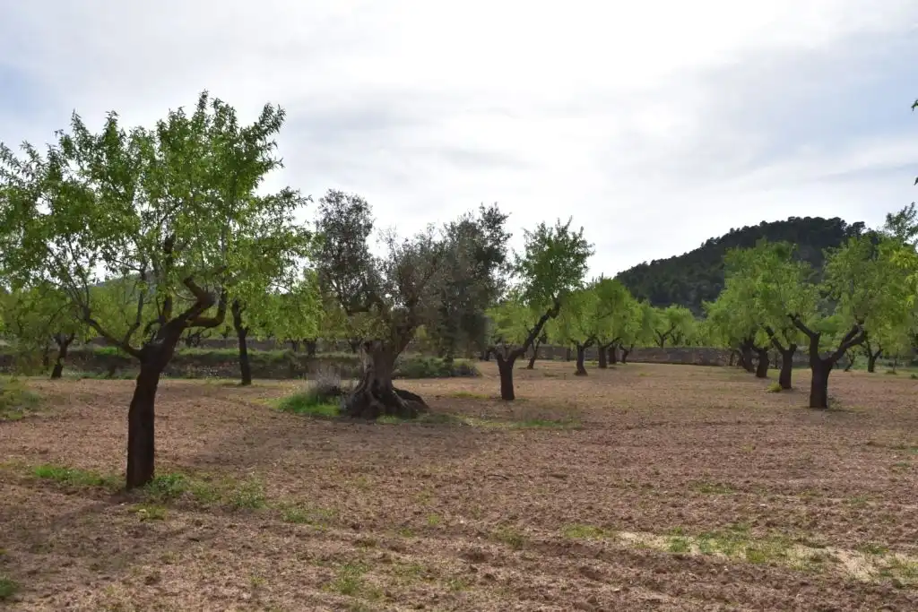 Country homes for sale in Ráfales