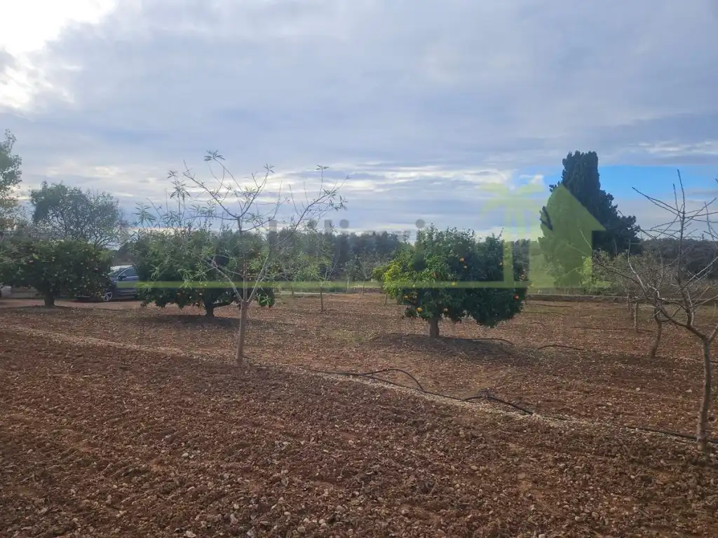 Wohnbaugrundstück zum Verkauf in Ulldecona, imagen 11