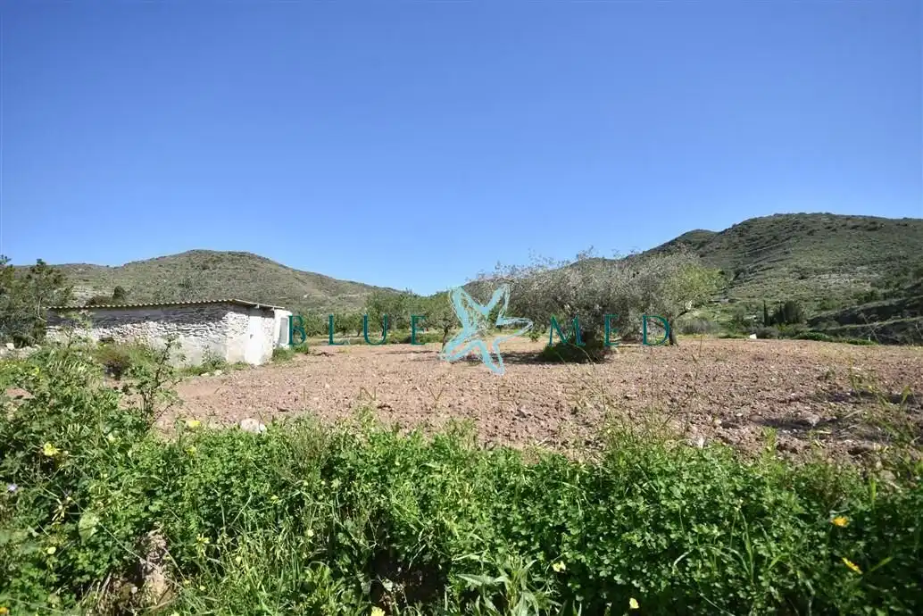 Terreni e lotti in vendita a Pedanías Oeste, imagen 10