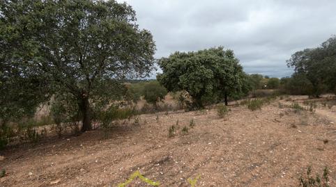 Foto 4 de Finca rústica en venda a Tharsis, Huelva