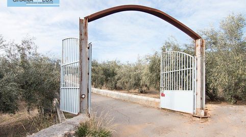 Magnifica finca 46 Hectáreas de la cual plantada de olivos, aproximadamente 43., imatge 2