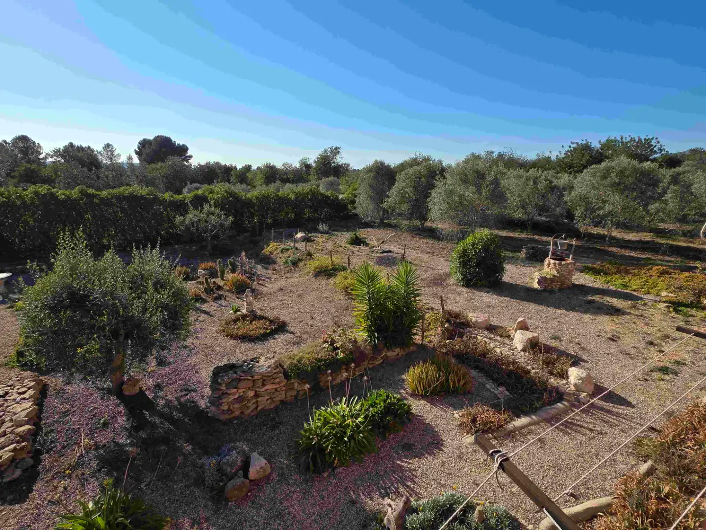 Jardín de Casa o chalet en venta en Valls con Jardín privado y Piscina
