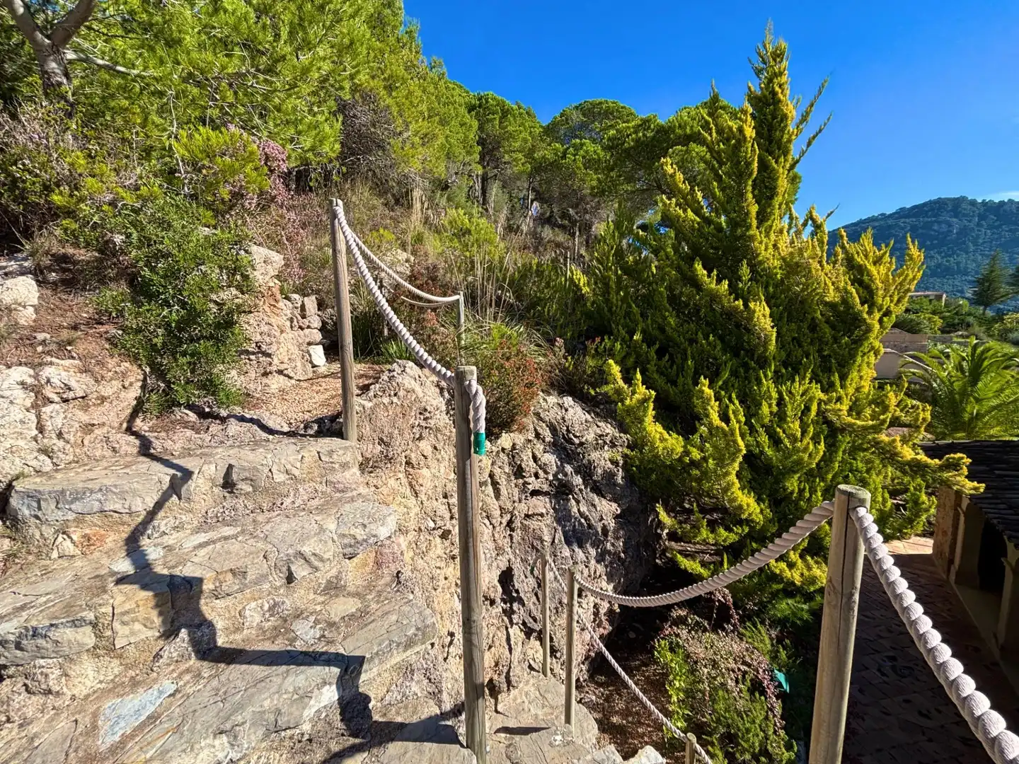 Garden of Houses for sale in Valldemossa  with Heating, Private garden and Terrace