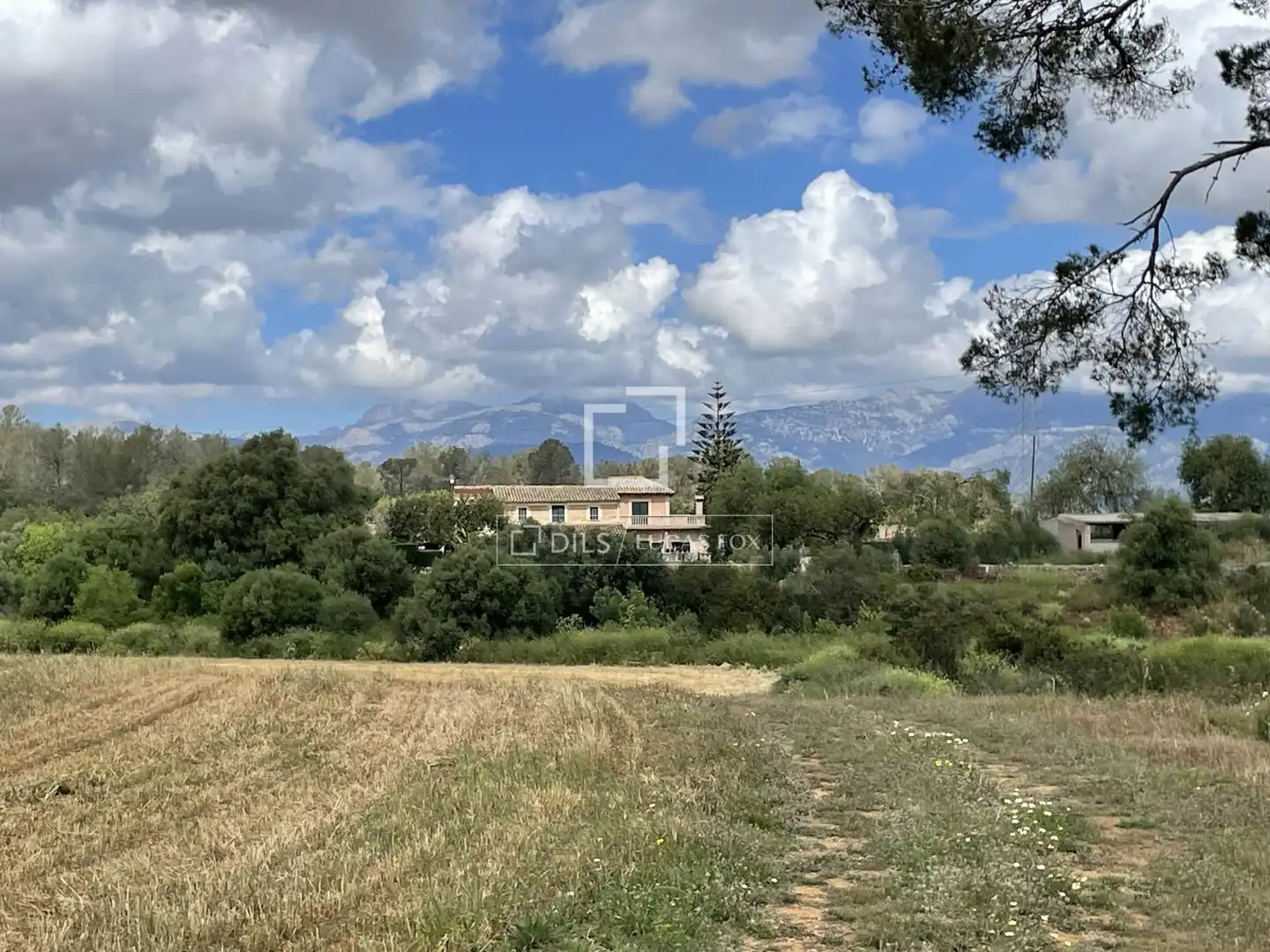 Rustikales Grundstück zum Verkauf in Costitx, imagen 19