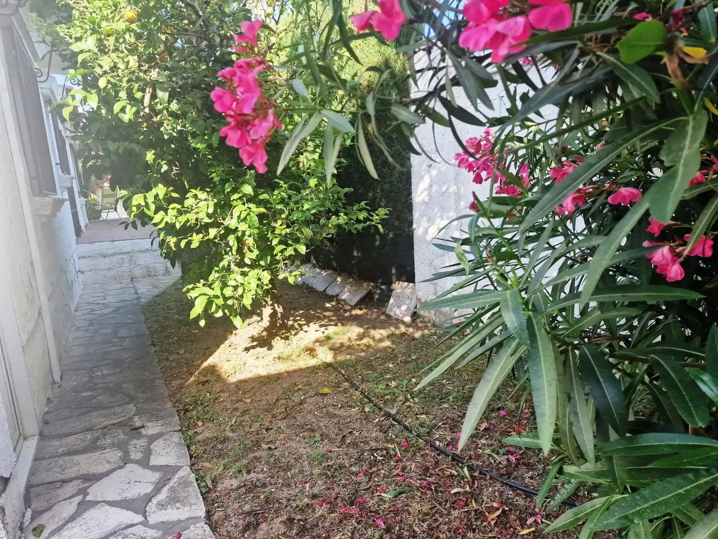 Villa avec jardin à vendre à Ardiaca - La Llosa, imagen 6