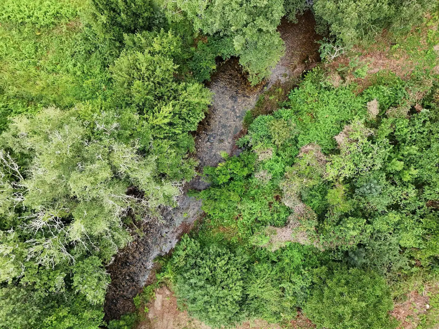 Land for sale in Mondoñedo