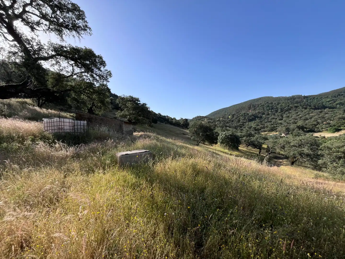 Terrenos y solares en venta en Plaza de Corterrangel, imagen 3