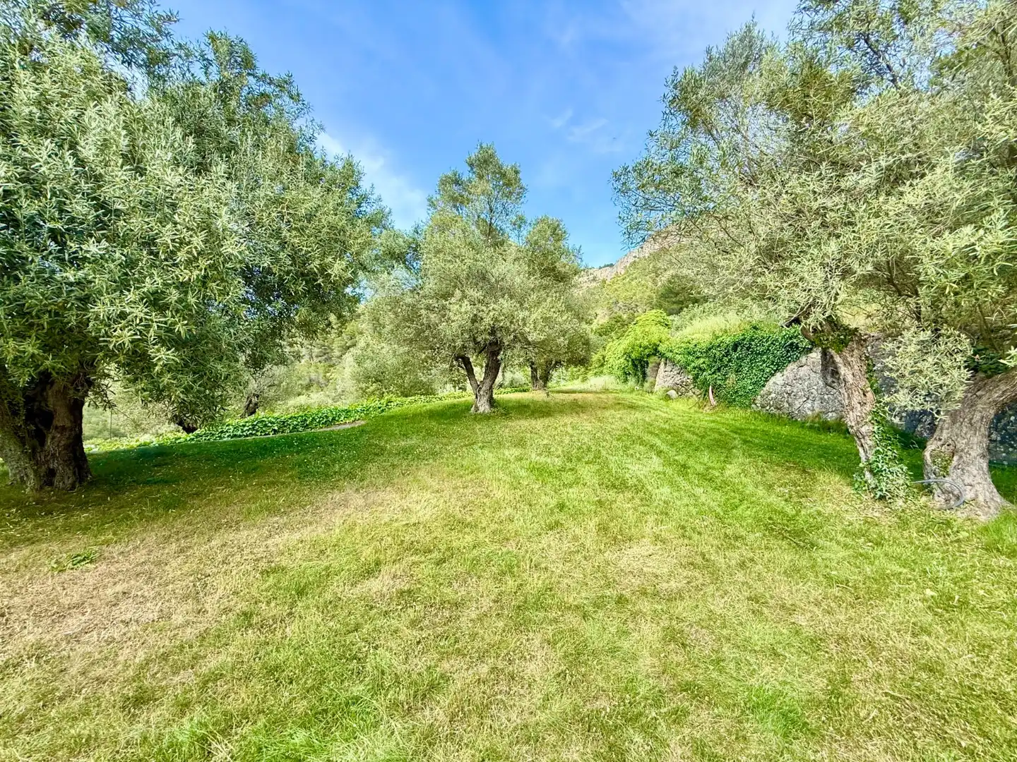 Jardí de Finca rústica en venda en Alcoleja amb Aire condicionat, Jardí privat i Terrassa