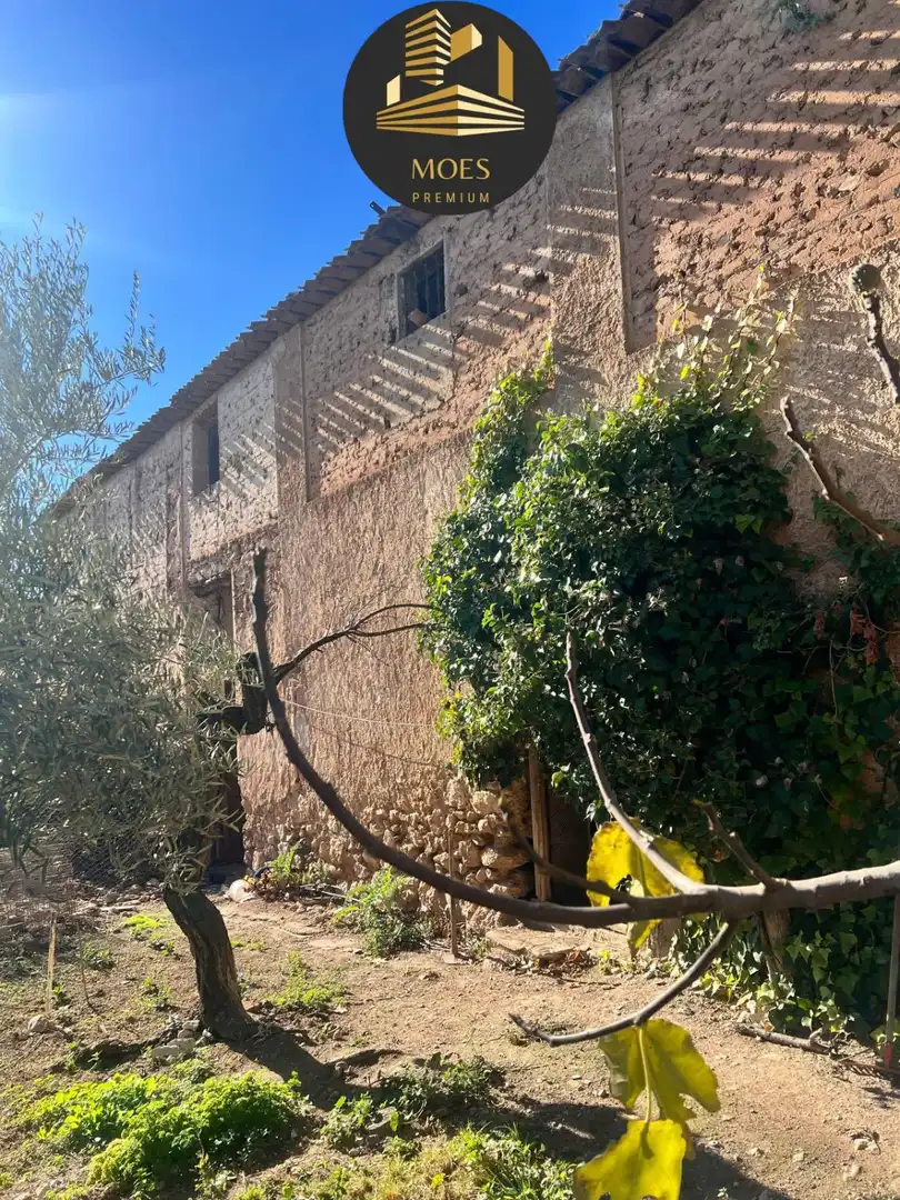 Casa con terraza en venta en Cabra del Santo Cristo