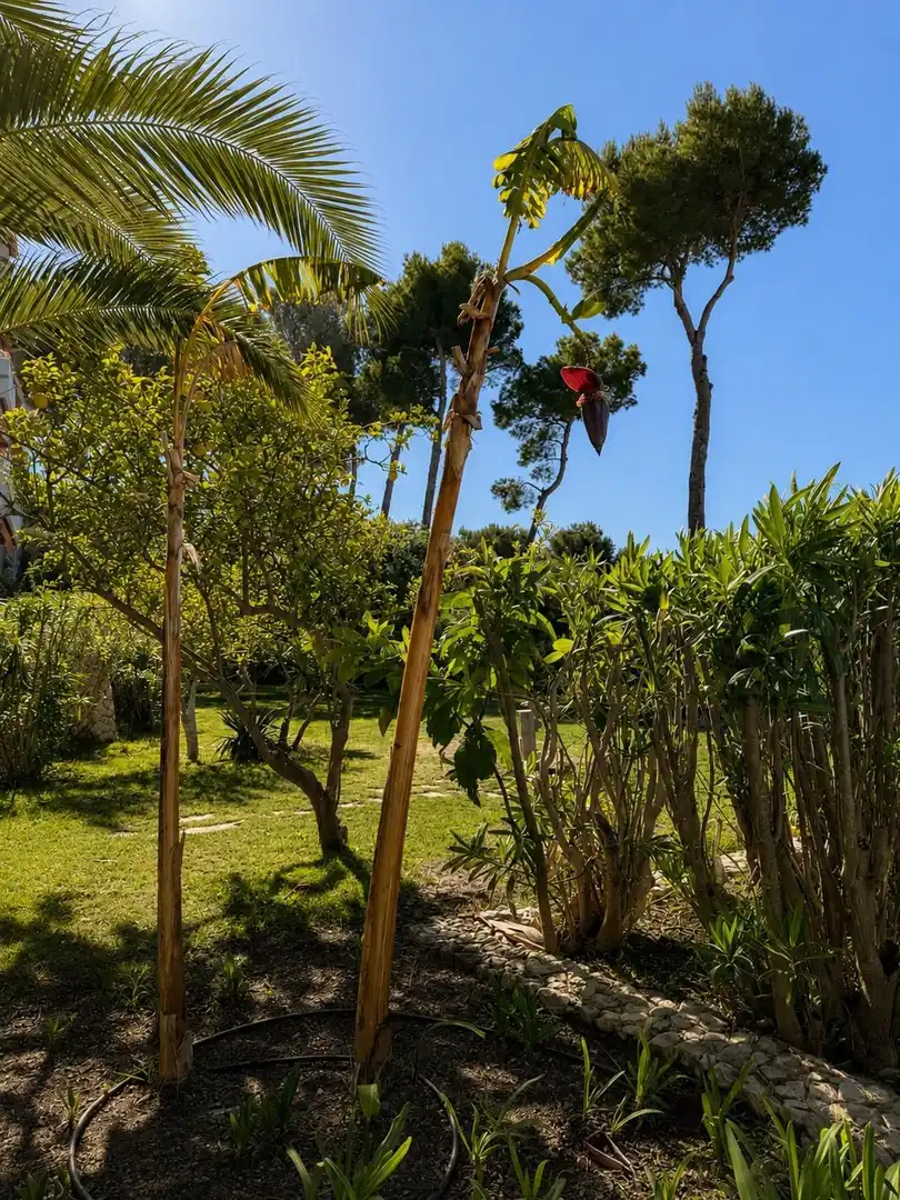 Garden of Flat for sale in Son Servera  with Air Conditioner, Private garden and Terrace