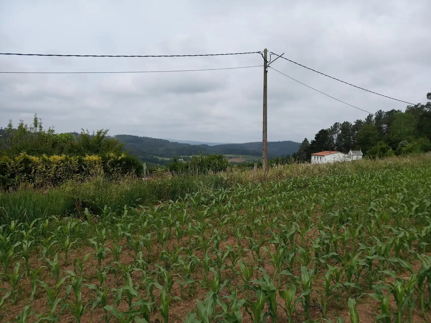 Wohnbaugrundstück zum Verkauf in Carballo, imagen 10