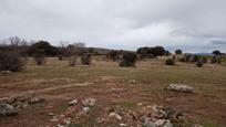 Terreny en venda en Navalperal de Pinares