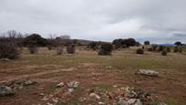 Land for sale in Navalperal de Pinares