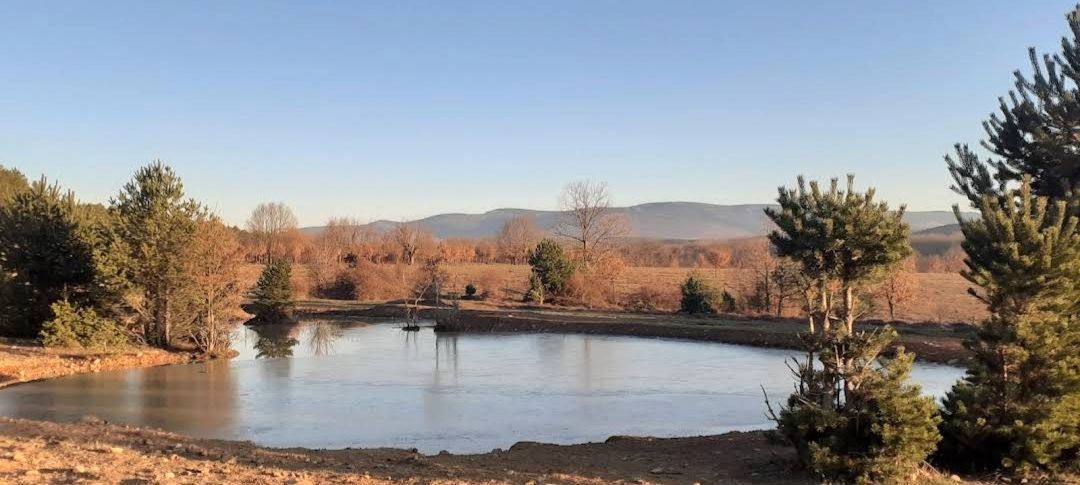 Swimming pool of House or chalet for sale in Villasur de Herreros