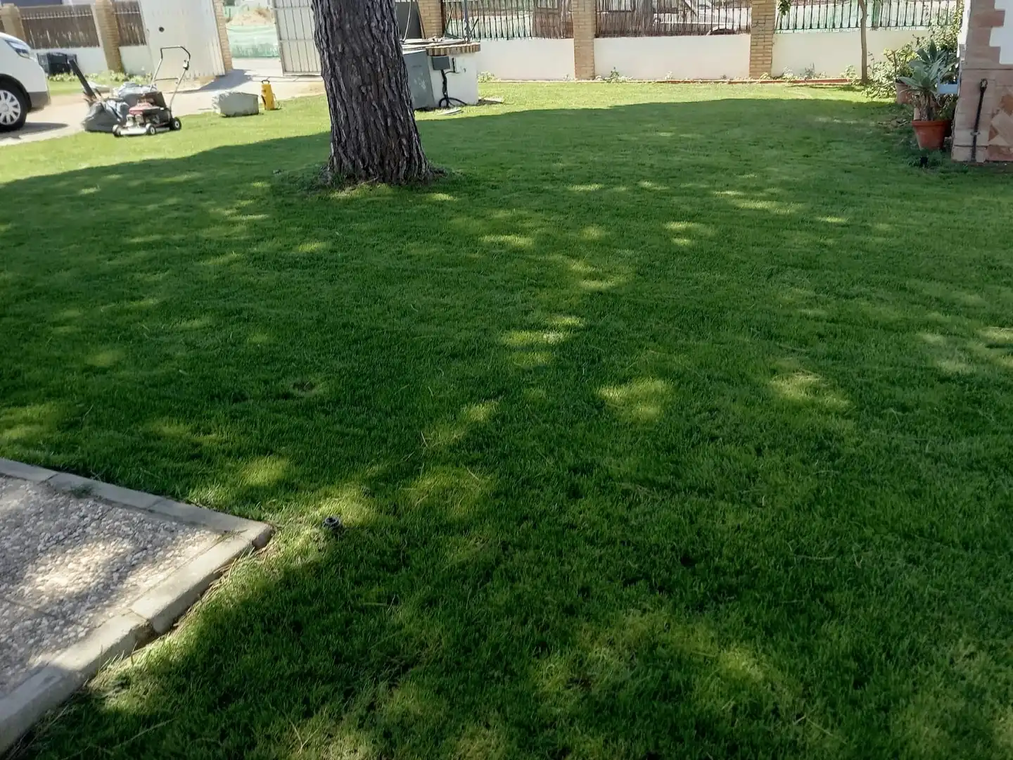 Garden of Houses for rent in Chipiona  with Heating, Private garden and Terrace