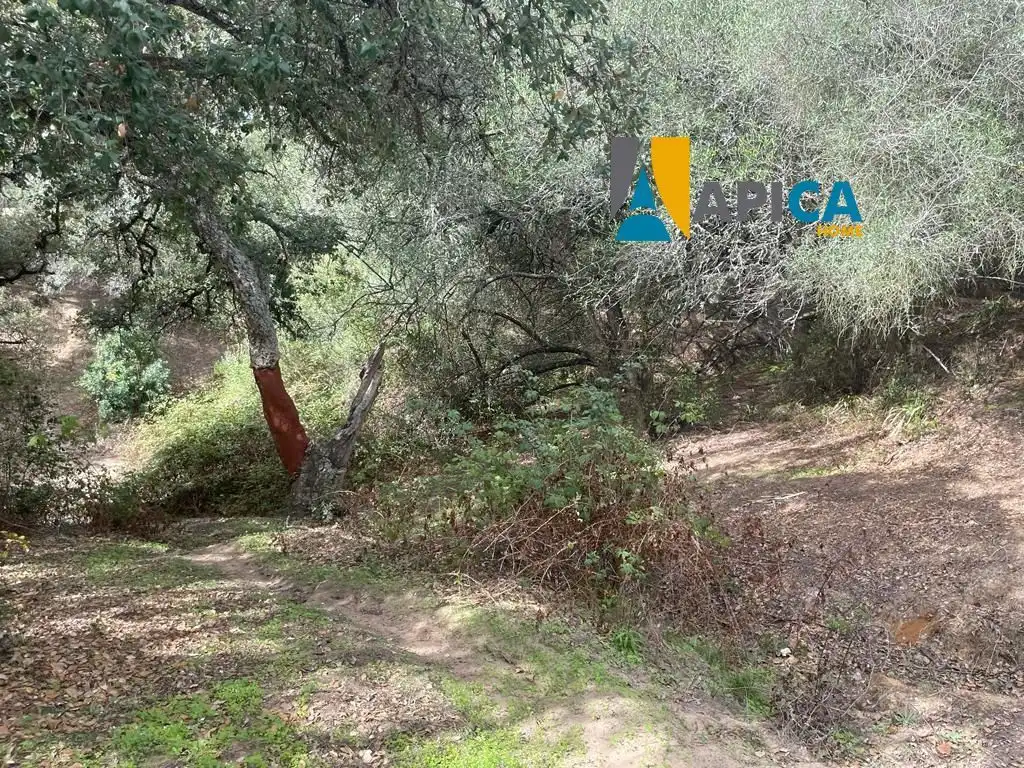 Terreni e lotti in vendita a Vejer, imagen 18