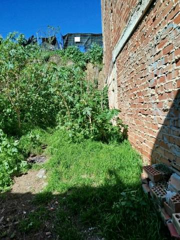 Terreno residencial en Venta en Calle BLAS INFANTE en Benamocarra