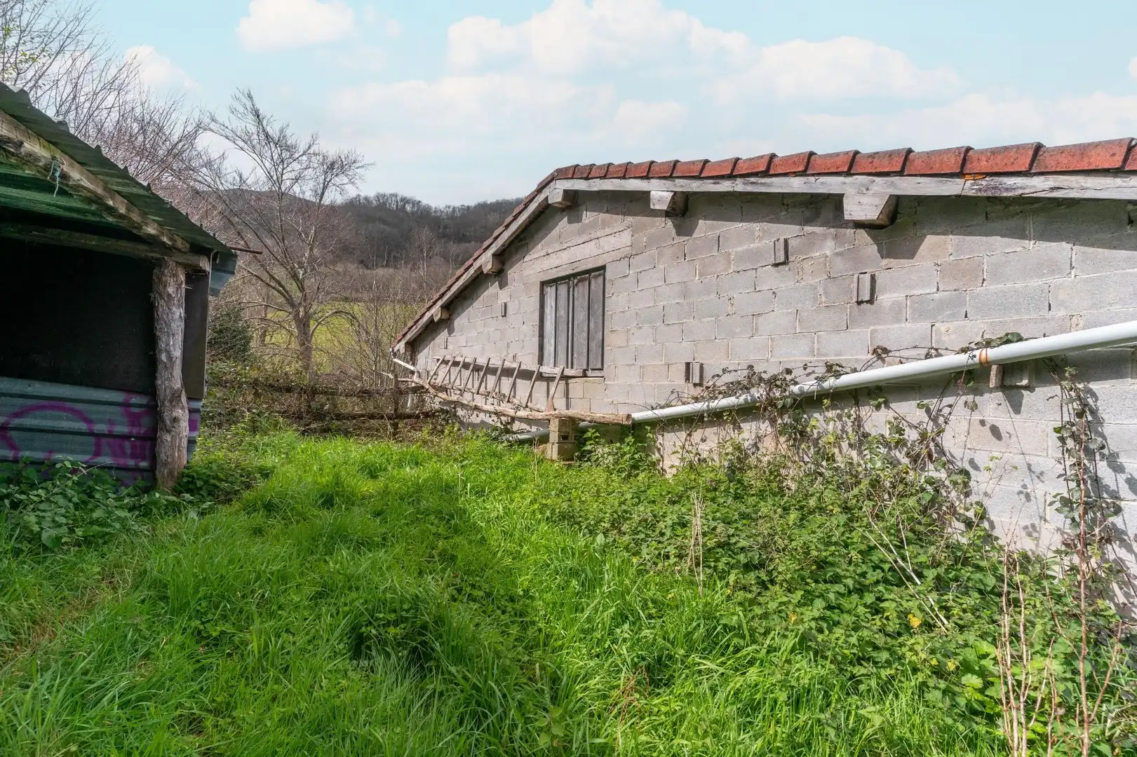 Exterior view of Land for sale in Riosa
