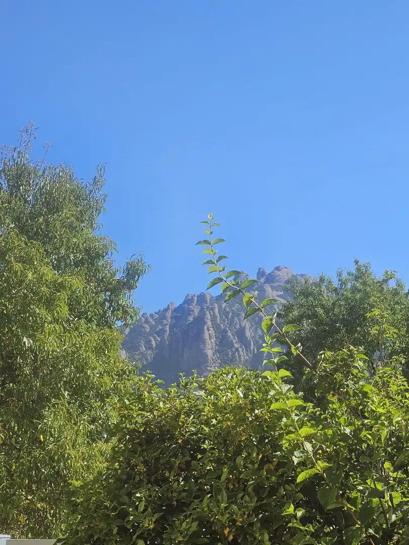 Vista exterior de Casa o xalet en venda en Collbató amb Aire condicionat, Calefacció i Jardí privat