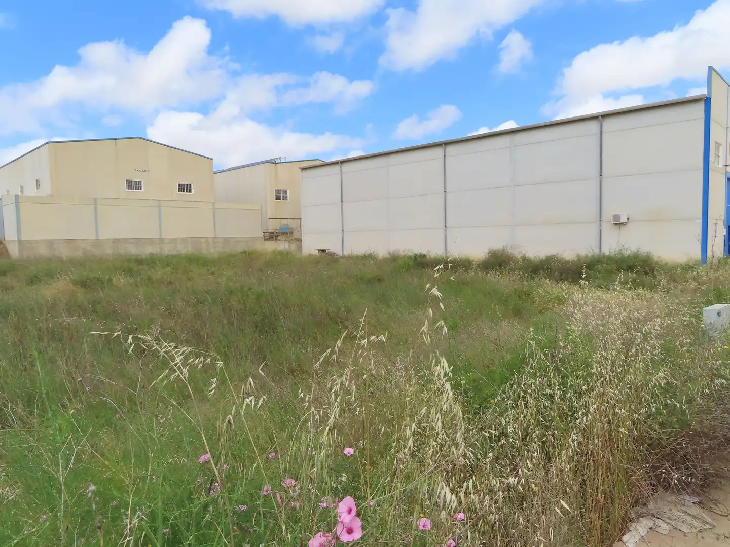 Industrial land for sale in La Unión ciudad