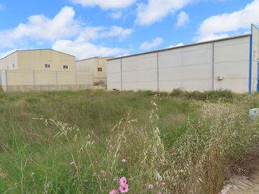 Terreno industriale in vendita a La Unión ciudad