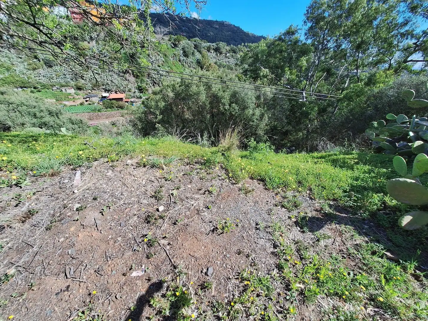 Xalet amb jardí en venda a Camino Pino Santo Bajo, imagen 3