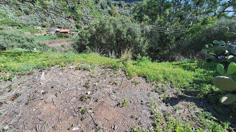 Foto 3 de Casa o chalet en venta en Camino Pino Santo Bajo, Portada Verde - Lomo Espino - Guanche, Santa Brígida