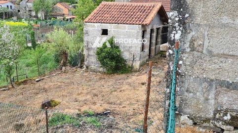 Ourense  Melon  Moces, Bild 4
