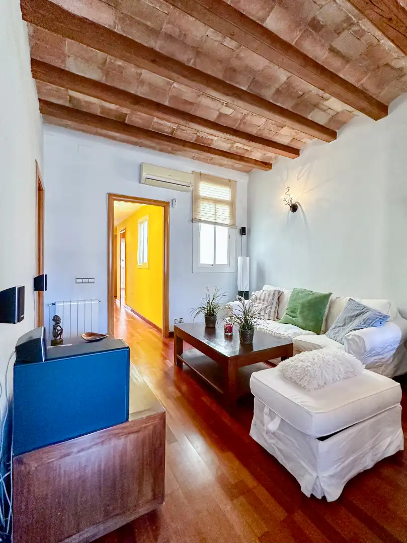 Sala d'estar de Pis en venda en Barcelona amb Aire condicionat, Calefacció i Parquet