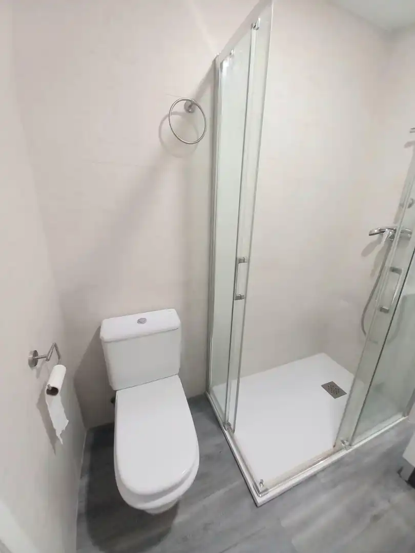 Apartment with terrace to rent in Centro, imagen 11