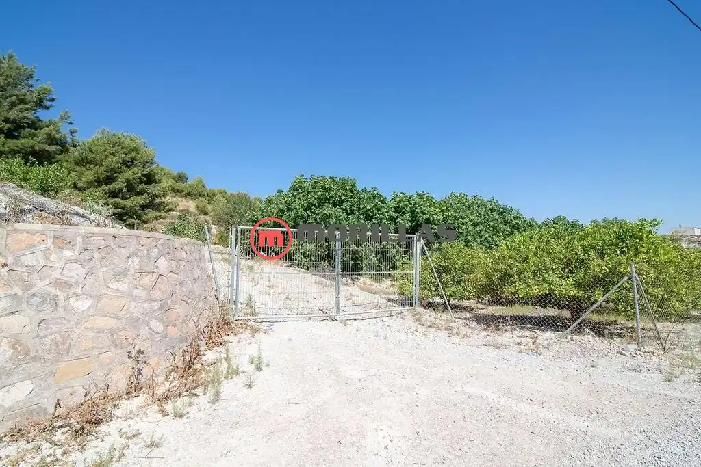 Lands and plots for sale in Carretera de Abanilla 25, imagen 3