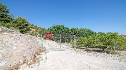 Finca de Regadío con Construcciones, immagine 3
