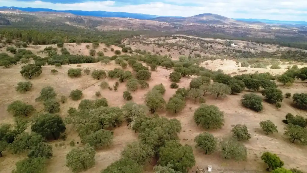 Grundstücke zum Verkauf in El Cerro de Andévalo